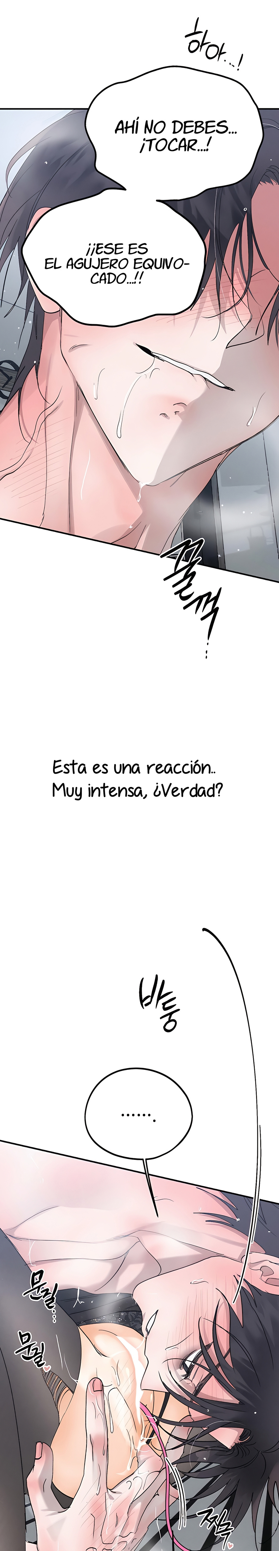 Imagen del capítulo 22